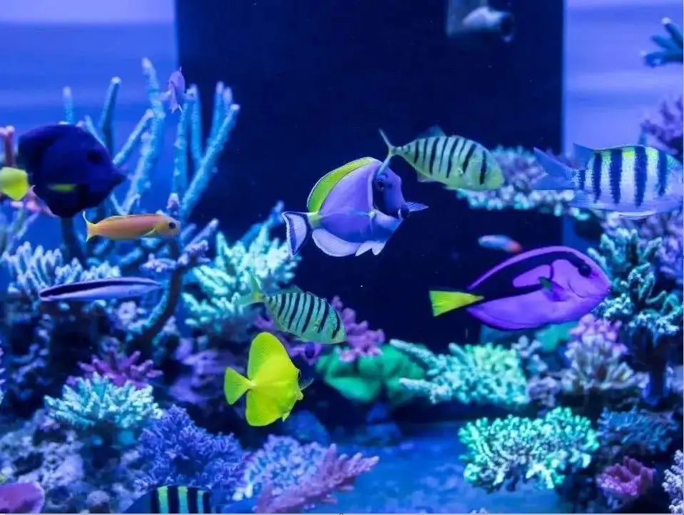 5_平頂山海洋館