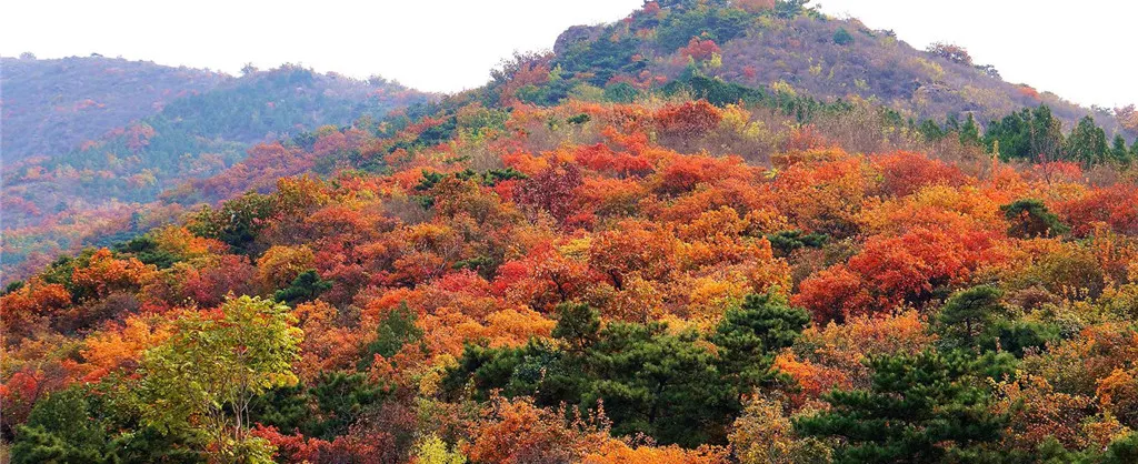 Fall Viewing Attractions
