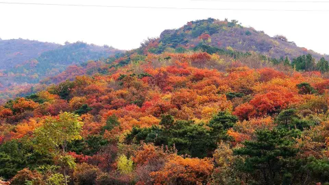 莽山五指峰景區 attraction in 郴州