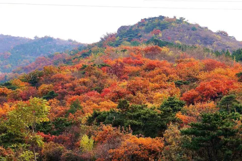 Wuzhifeng Scenic Area In Mangshan