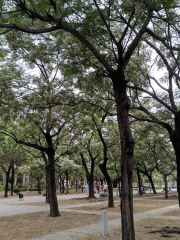 Laogong Park