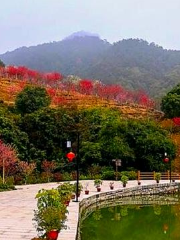 Beixi Taohua Valley