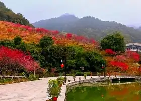 Beixi Taohua Valley