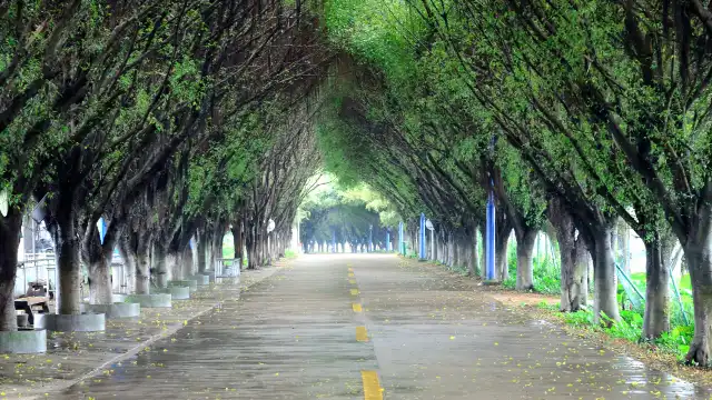 鄰近海壽島的酒店