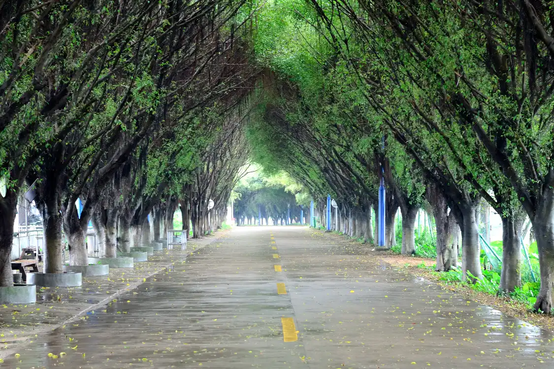 Hotels near Haishou Island