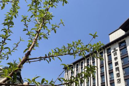 陇南恒悦祥酒店·中餐厅