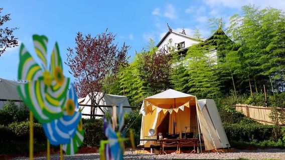 Yunshan Tea Sea Campground