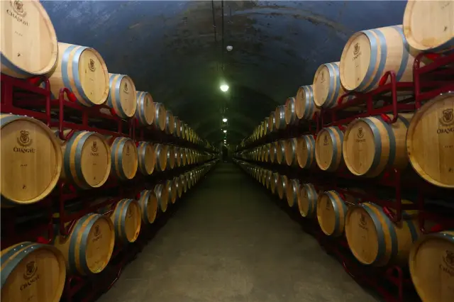 Liquor Culture Experiences in Yantai