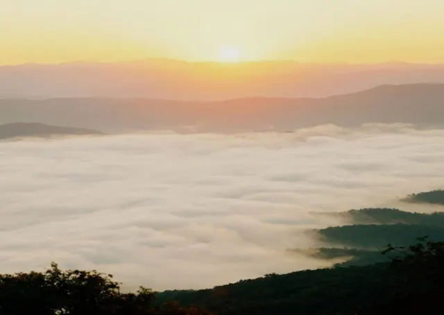 0103d12000a679kbv2F8D.png