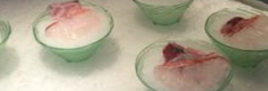 海鼎薈海鮮姿造