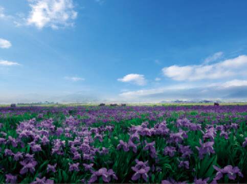 พื้นที่ชุ่มน้ำเป่ยไห่