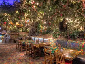 Rainforest Cafe