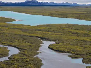 Koyukuk River