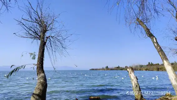 [Pure Fun] one-day tour of Ethnic Village + Haihong Wetland + Laoyu River + Haiyan Village