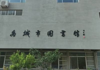 禹城市圖書館