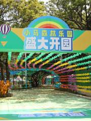 小馬森林樂園