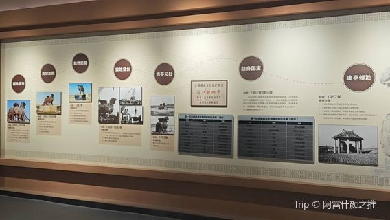 Jiucheng Culture Exhibition Hall