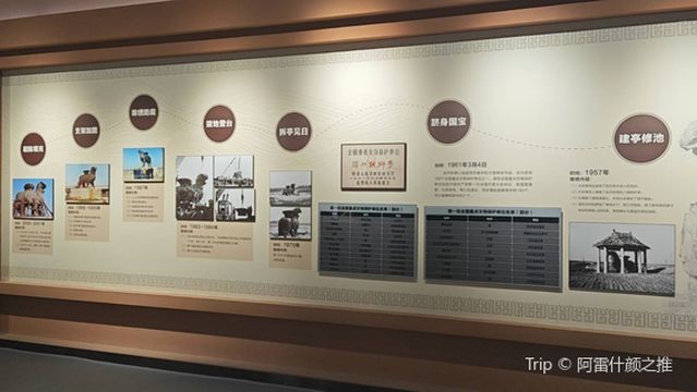 Jiucheng Culture Exhibition Hall