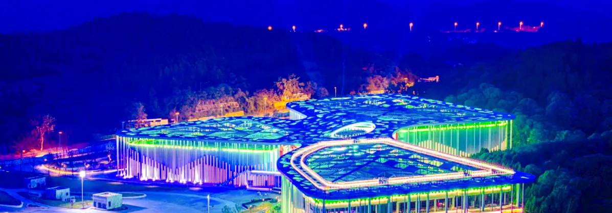 Night Attractions