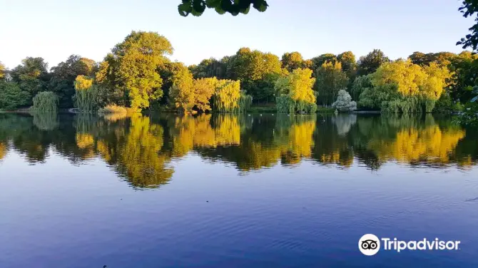 2_Schrevenpark