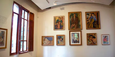 佩德羅內爾戈麥斯博物館