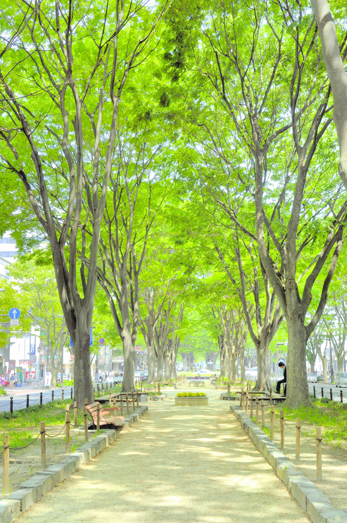 Các khách sạn gần Jozenjidori Avenue