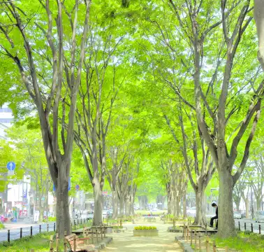 Hotels near Jozenji-dori Ave
