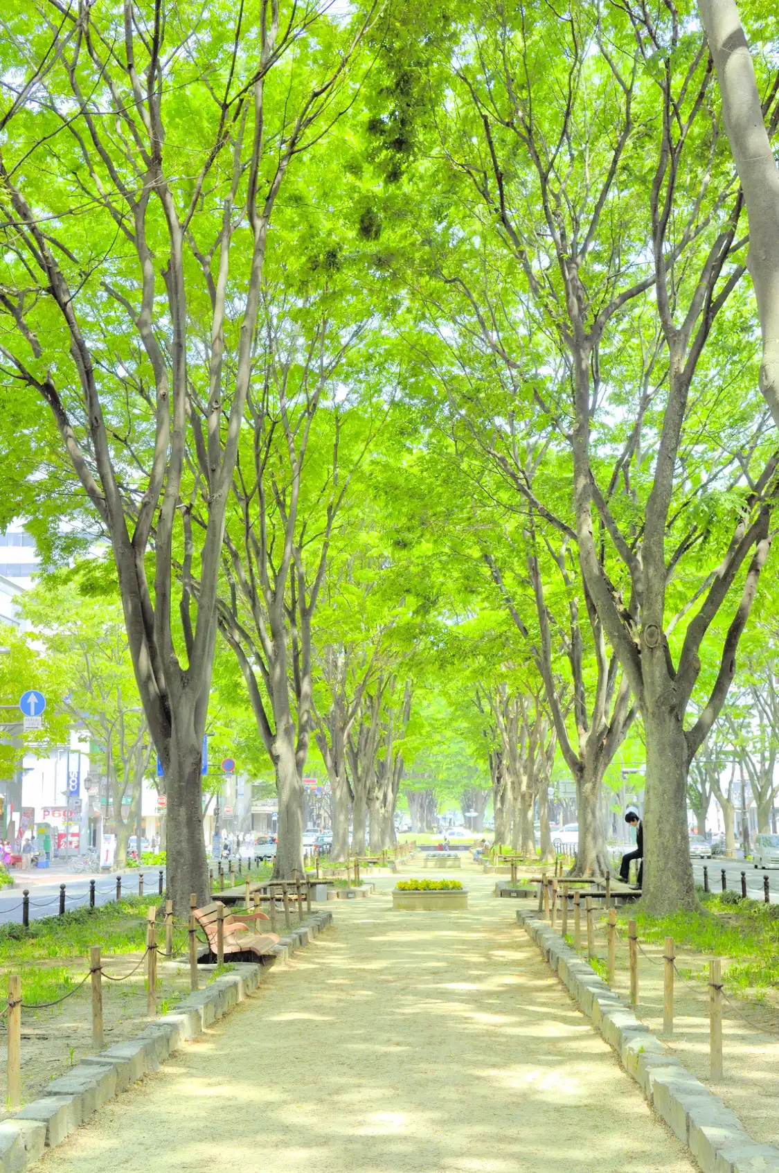 Hôtels à proximité de : Jozenjidori Avenue
