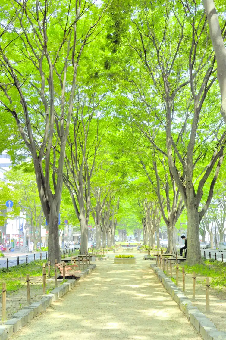 Hotels near Jozenji-dori Avenue
