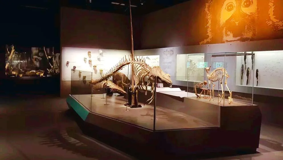 2_李光前自然歷史博物館