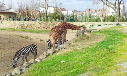Bursa Zoo