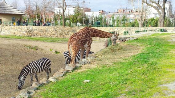 Bursa Zoo