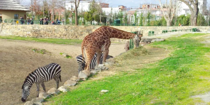 布爾薩動物園