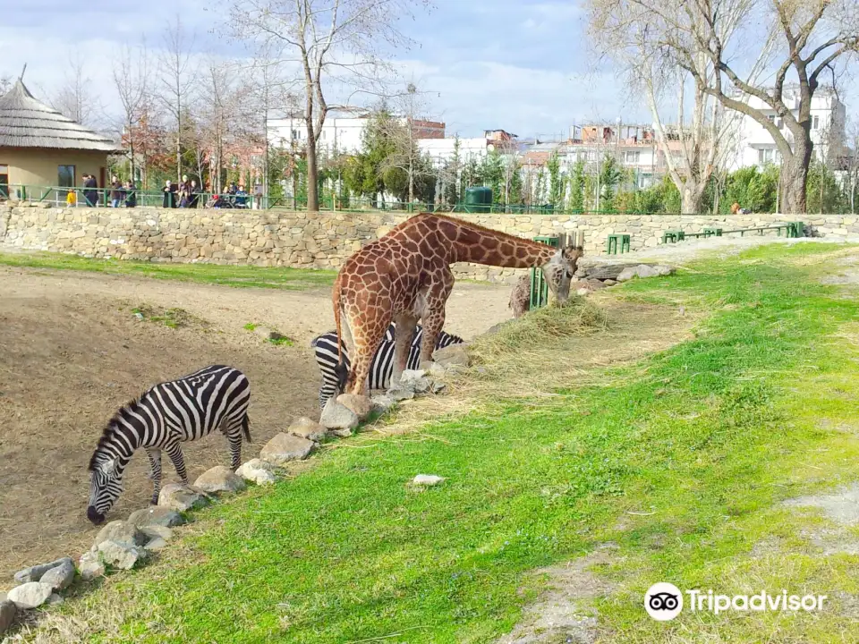 1_布爾薩動物園