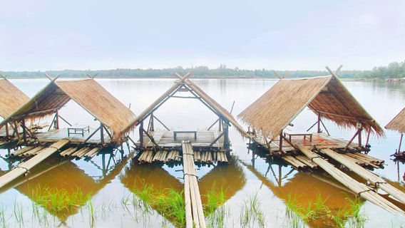 Mae Rim