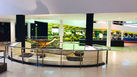 Phu Wiang Dinosaur Museum