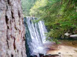 Wilder Wasserfall