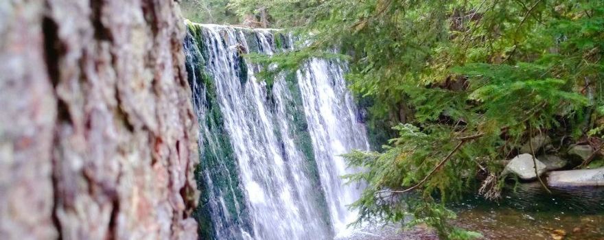 The Wild Waterfall