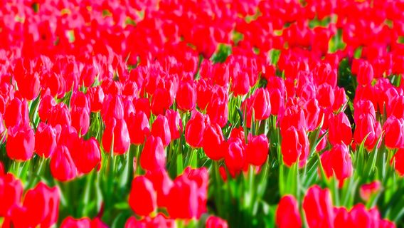 Kaiguang New World Tourist Resort