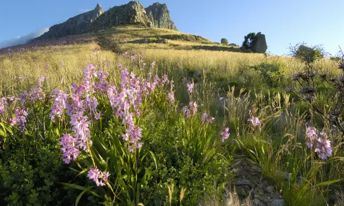 Parco nazionale della Montagna della Tavola