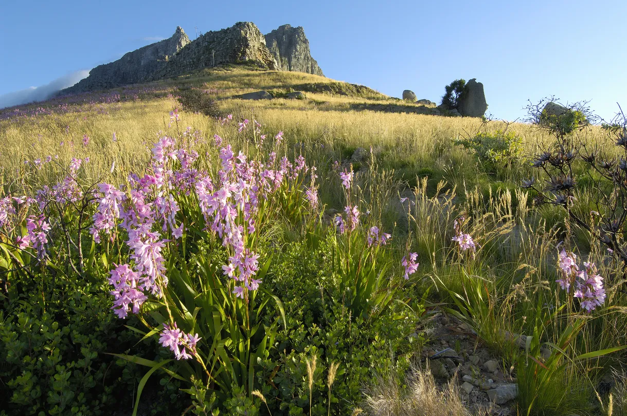 5_Table Mountain National Park