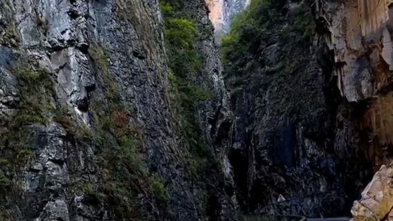 hei mao gou da xia gu