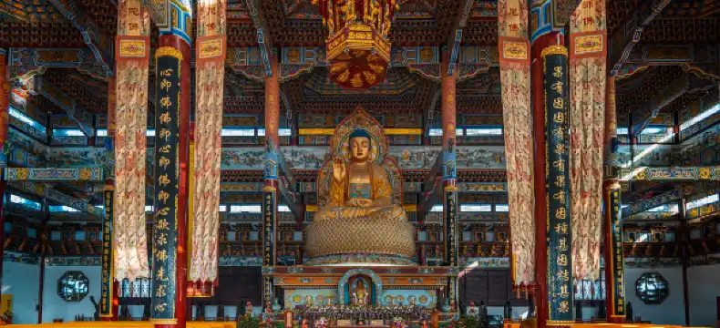 Hotels in Runan