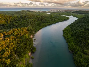 Amazzonia