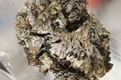 翠竹园野生菌火锅店