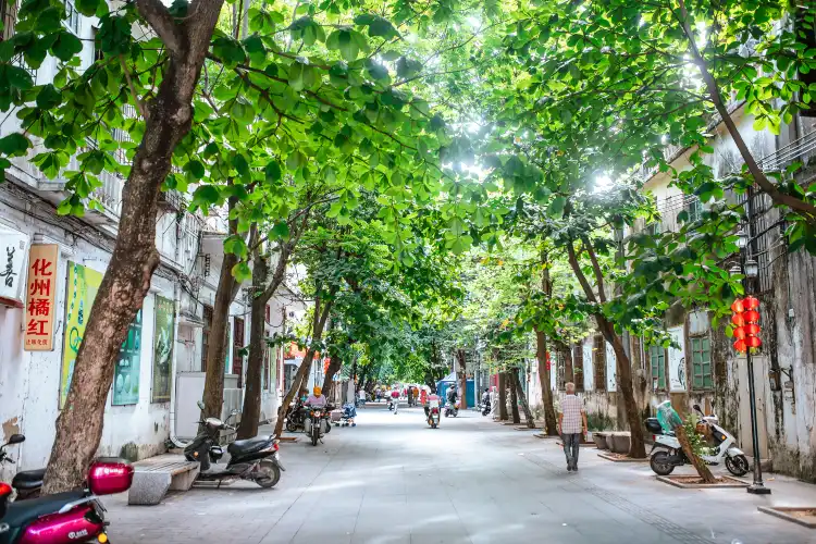 Hotels near Chikan Old Street