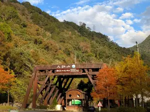 Attrazioni per la visione autunnale a Taichung: le opzioni più popolari