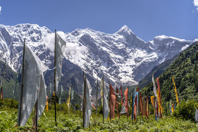 South Peak Base Camp