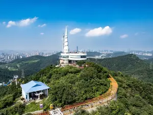 Lotus Hill Viewing Tower