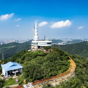 Lotus Hill Viewing Tower